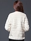 tanie Damskie płaszcze z futrem naturalnym i sztucznym-Damskie Zima Futro Codzienny Wyjściowe Podstawowy Puszysta Krótkie Solidne kolory Biały XS / S / M