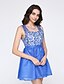 cheap Mini Dresses-Women&#039;s  Lace Slim Round Sleeveless Graceful Party Dress