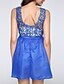 cheap Mini Dresses-Women&#039;s  Lace Slim Round Sleeveless Graceful Party Dress