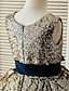 זול שמלות לילדות פרחים-נשף באורך הקרסול שמלה לנערת הפרחים  תחרות שמלת נשף חמודה טול עם סרט מתאים 3-16 שנים