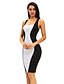 cheap Women&#039;s Dresses-Women&#039;s Bodycon Dress - Color Block, Backless High Rise Strap