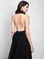 cheap Evening Dresses-A-Line Celebrity Style Dress Formal Evening Chapel Train Sleeveless Halter Neck Tulle with Draping 2023