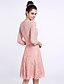 cheap Bridesmaid Dresses-A-Line Bridesmaid Dress Jewel Neck 3/4 Length Sleeve See Through Knee Length Lace with Lace