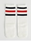 cheap Underwear-Girls&#039; Stripes Casual / Daily Striped Underwear &amp; Socks White