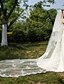cheap Wedding Veils-Two-tier Lace Applique Edge Wedding Veil Cathedral Veils 53 Appliques Lace / Tulle / Classic