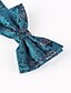 cheap Men&#039;s Accessories-Men&#039;s Party / Work / Basic Bow Tie Print