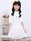 cheap Girl&#039;s Clothing-Girl&#039;s Casual/Daily Solid Dress,Others Summer Pink / White