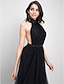 cheap Evening Dresses-A-Line Celebrity Style Dress Formal Evening Chapel Train Sleeveless Halter Neck Tulle with Draping 2023