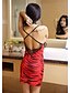 cheap Sexy Lingerie-Women&#039;s Sexy Ultra Sexy Nightwear Animal Red