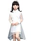 baratos Vestidos-Meninas Manga Longa Cor Sólida Gráfico impresso em 3D Vestidos Vestido Primavera Outono Casual / Diário