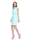 cheap Special Occasion Dresses-Sheath / Column Bateau Neck Short / Mini Polyester Celebrity Style Cocktail Party / Prom Dress with Draping by TS Couture®