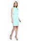 cheap Special Occasion Dresses-Sheath / Column Bateau Neck Short / Mini Polyester Celebrity Style Cocktail Party / Prom Dress with Draping by TS Couture®