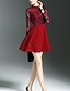 cheap Romantic Lace Dresses-Women&#039;s Lace Daily Simple Sheath Dress