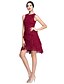 cheap Cocktail Dresses-A-Line Celebrity Style Cute Holiday Cocktail Party Prom Dress Jewel Neck Sleeveless Knee Length Lace Georgette with Lace 2021