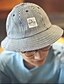 levne Dámské klobouky-Unisex Vintage Na běžné nošení Buřinka-Proužky Bavlna Celý rok Modrá