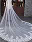 cheap Wedding Veils-One-tier Wedding Veil Chapel Veils With Tulle Wedding Accessories
