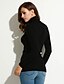 voordelige Damestruien-Dames Dagelijks Effen Lange mouw Lang Pullover Trui Jumper, Coltrui Herfst / Winter Kameel / Zwart / Rood S / M / L