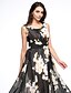 cheap Women&#039;s Dresses-Women&#039;s Simple / Street chic Loose / Sheath / Skater Dress - Print Pleated High Rise Maxi / Summer