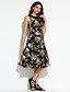 cheap Women&#039;s Dresses-Women&#039;s Vintage Skater Dress - Floral