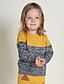 preiswerte Pullover &amp; Strickjacken-Unisex Pullover &amp; Cardigan Ausgehen Lässig/Alltäglich Schule einfarbig Gestreift Einfarbig Baumwolle Frühling Herbst Winter Lange Ärmel