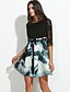 cheap Women&#039;s Dresses-Women&#039;s Going out Sophisticated Skater Dress - Print High Rise / Spring / Summer / Fall