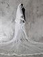 cheap Wedding Veils-Two-tier Lace Applique Edge Wedding Veil Shoulder Veils / Elbow Veils / Fingertip Veils with Sequin / Appliques Lace / Tulle / Angel cut / Waterfall