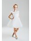 cheap Flower Girl Dresses-Princess Knee Length Flower Girl Dress - Cotton Spandex Short Sleeves Jewel Neck
