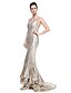 cheap Special Occasion Dresses-Mermaid / Trumpet Spaghetti Strap Sweep / Brush Train Sequined Sparkle &amp; Shine Formal Evening Dress with Sequin by TS Couture®