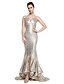 cheap Special Occasion Dresses-Mermaid / Trumpet Spaghetti Strap Sweep / Brush Train Sequined Sparkle &amp; Shine Formal Evening Dress with Sequin by TS Couture®