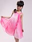preiswerte Mode für Mädchen-Mädchen Kleid Alltag Ausgehen Patchwork Baumwolle Sommer Ärmellos Spitze Fuchsia