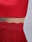 levne Večerní šaty-Mořská panna Formální večer Šaty Illusion Neckline Bez rukávů Na zem Krajka Satén s Krajka 2020