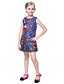 cheap Dresses-Girls&#039; Sleeveless Print 3D Printed Graphic Dresses Floral Cotton Polyester Dress All Seasons Casual Daily