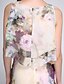 cheap Prom Dresses-Sheath / Column Floral Dress Wedding Guest Holiday Floor Length Sleeveless Jewel Neck Chiffon with Ruffles Pattern / Print 2024