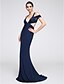cheap Special Occasion Dresses-Mermaid / Trumpet Dress Formal Evening Sweep / Brush Train Short Sleeve Plunging Neck Jersey with Side Draping 2024