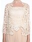 cheap The Wedding Store-Sheath / Column Pantsuit / Jumpsuit Mother of the Bride Dress Convertible Dress Strapless Floor Length Chiffon Sheer Lace 3/4 Length Sleeve with Lace 2022