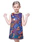 cheap Dresses-Girls&#039; Sleeveless Print 3D Printed Graphic Dresses Floral Cotton Polyester Dress All Seasons Casual Daily