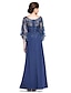 cheap Mother of the Bride Dresses-Sheath / Column Mother of the Bride Dress Elegant See Through Bateau Neck Ankle Length Chiffon Lace Half Sleeve with Lace 2023