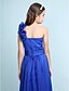 cheap Junior Bridesmaid Dresses-Princess / A-Line One Shoulder Floor Length Chiffon Junior Bridesmaid Dress with Sash / Ribbon / Ruffles / Side Draping / Fall / Winter / Spring / Wedding Party / Natural