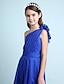 cheap Junior Bridesmaid Dresses-Princess / A-Line One Shoulder Floor Length Chiffon Junior Bridesmaid Dress with Sash / Ribbon / Ruffles / Side Draping / Fall / Winter / Spring / Wedding Party / Natural