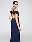 Χαμηλού Κόστους Φορέματα ειδικών περιστάσεων-Τρομπέτα / Γοργόνα Φόρεμα Επίσημο Βραδινό Ουρά Κοντομάνικο Βυθίζοντας το λαιμό Ζέρσεϊ με Πλαϊνό ντραπέ 2024