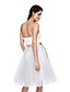 cheap Prom Dresses-Ball Gown Dress Cocktail Party Tea Length Sleeveless Sweetheart Lace with Lace Sash / Ribbon Bow(s) 2023