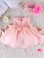 cheap Baby Girls&#039;  Dresses-Baby Girls&#039; Lace Dresswear Formal Solid Colored Sleeveless Dress Blushing Pink
