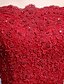 Χαμηλού Κόστους Βραδινά Φορέματα-Γραμμή Α Φόρεμα Επίσημο Βραδινό Μακρύ Κοντομάνικο Σκάφος λαιμού Τούλι με Ζώνη / Κορδέλα 2022