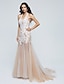 cheap Special Occasion Dresses-Mermaid / Trumpet Elegant Formal Evening Dress Halter Neck Sleeveless Sweep / Brush Train Lace Tulle with Lace Pleats