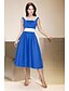 cheap The Wedding Store-Ball Gown / A-Line Bridesmaid Dress Straps Sleeveless Color Block Tea Length Satin with Sash / Ribbon / Draping 2022