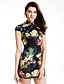 זול שמלות במידות גדולות-עומד מיני פרחוני - שמלה צינור וינטאג&#039; בגדי ריקוד נשים / קיץ / דפוסי פרחים