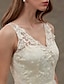 cheap Wedding Dresses-Wedding Dresses A-Line V Neck Regular Straps Sweep / Brush Train Lace Over Tulle Bridal Gowns With Lace Sash / Ribbon 2023