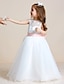 cheap Flower Girl Dresses-Ball Gown Floor Length Flower Girl Dress First Communion Cute Prom Dress Lace with Sash / Ribbon See Through Fit 3-16 Years