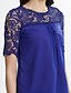 cheap Women&#039;s Blouses &amp; Shirts-Women&#039;s Street chic Plus Size Loose Blouse - Solid Colored, Lace Mesh