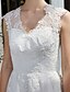 preiswerte Hochzeitskleider-Hochzeitskleider Pinsel Schleppe A-Linie Ärmellos V Ausschnitt Spitze Mit Spitze 2023 Brautkleider